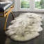Safavieh Ivory / Smoke Gray Area Rug-683806445