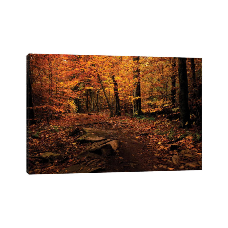 Autumn Path by Natalie Mikaels - Print on Canvas, 30.48 cm H x 45.72 cm W, Wrapped Canvas