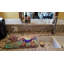 Tapis de séchage terrier airedale automne