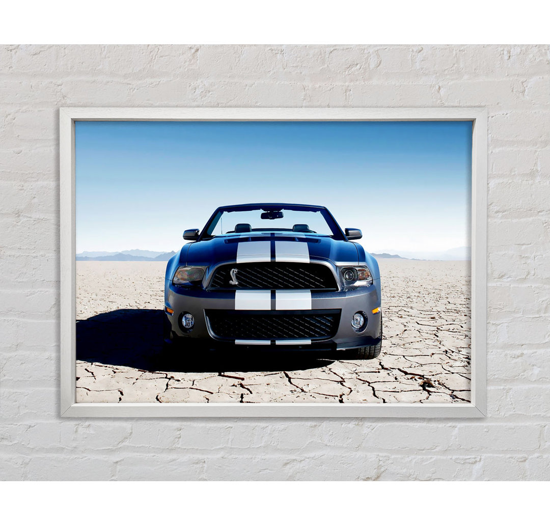 Mustang Shelby Frontprofil - Druck