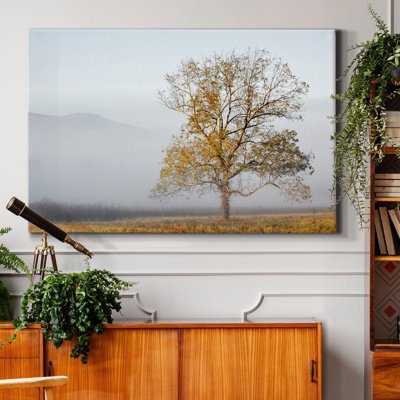 " Cades Cove "