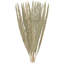 Grand feuillage naturel Cole and Grey Leaf