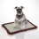 Mesh Training Tray