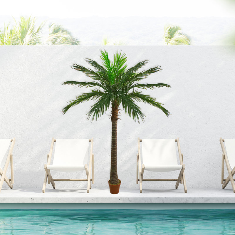 Tropical Elegance 7.5' Unlit Phoenix Palm Tree in Terracotta-Inspired Pot