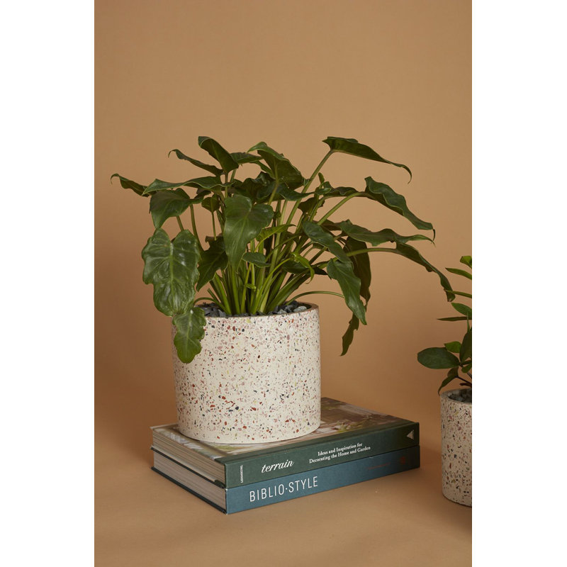 Handmade Pot Planter