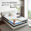 Classic Pro Collection Resspry Mattress-115116594