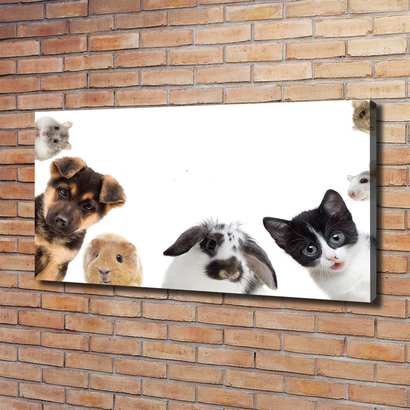Pets - Wrapped Canvas Print