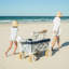 Le chariot de plage-772879661