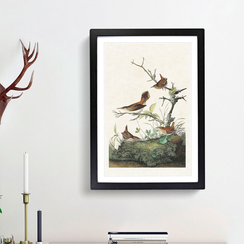 Wrens by John James Audubon - Picture Frame Painting Print, 36cm H x 27cm W x 2cm D, Black Framed