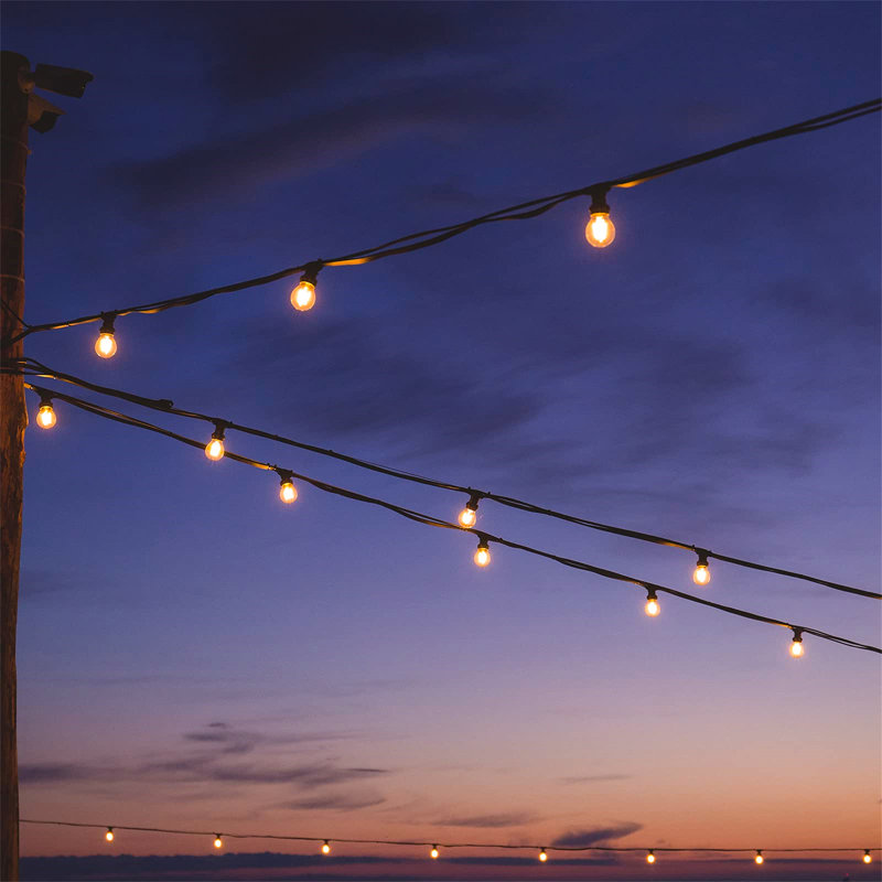 Alga 762cm 28 - Bulb Festoon Lights String Light (End to End Connectable)