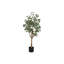 Plante artificielle