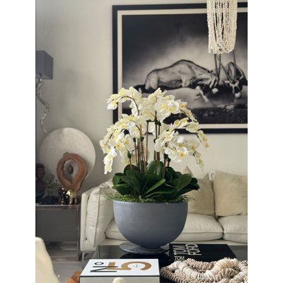 Orchidées blanches dans un bol en Fiberstone gris brillant