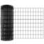 Chicken Fencing-399086183