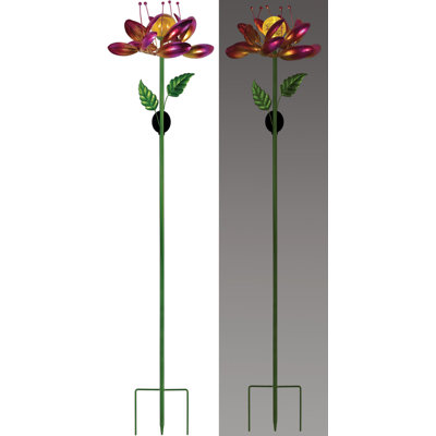 Saké solaire rose - 66 po