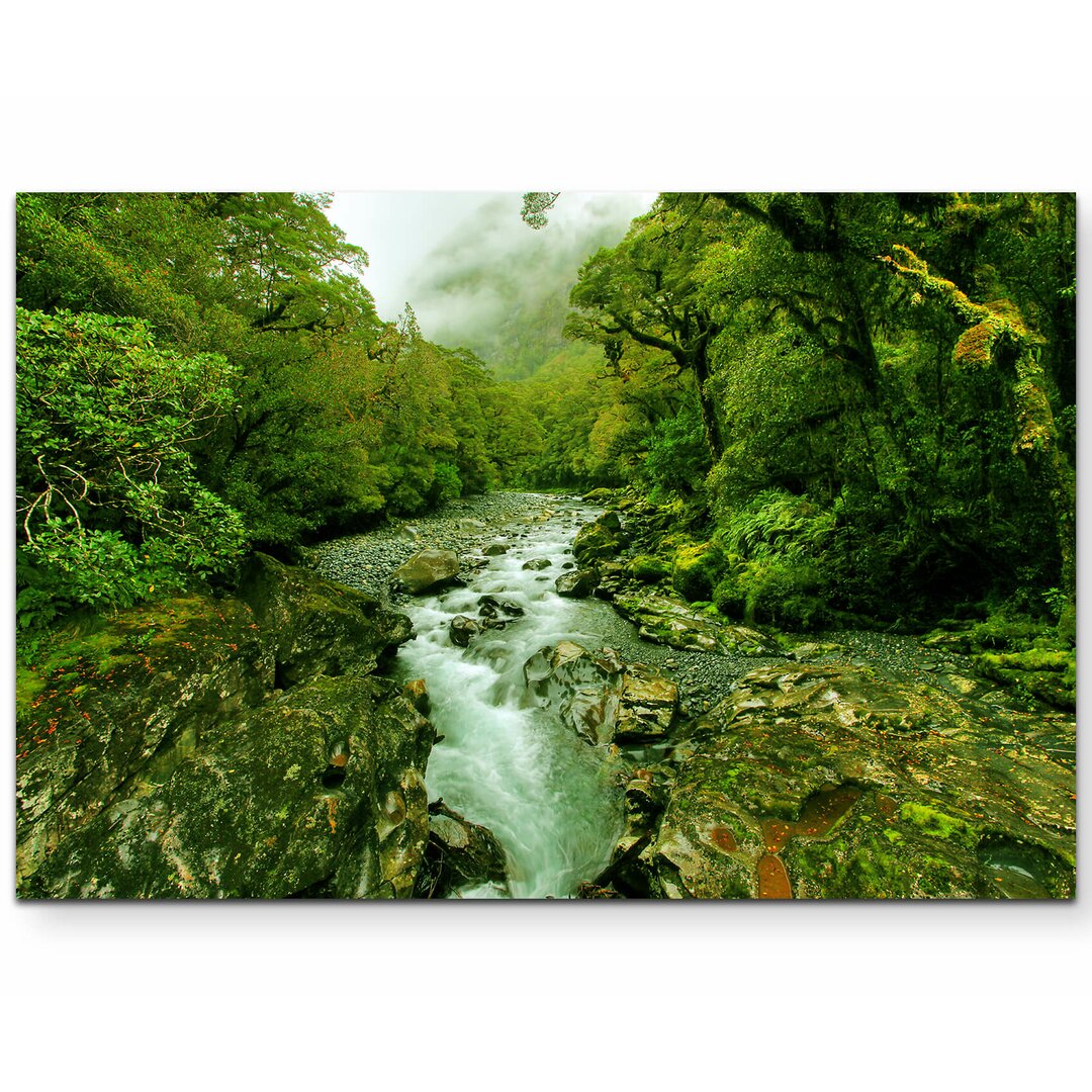 Leinwandbild Ein kleiner Fluss im Regenwald