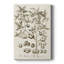 Sépia Botanical Journal II - galerie sur mesure Cavas-841771533
