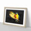 Yellow Macaw Parrot - Framed Print-56841861-56841864