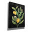«Classic Citrus V Black No Words» par Sue Schlabach, estampe numérique sur toile-520694025