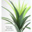 Plante grasse artificielle en pot-1278820822