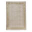 Hand Woven Wool Oriental Area Rug