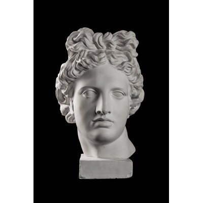Statue de la tête d'Apollon par Kozlik_Mozlik - Photographie sur toile tendue
