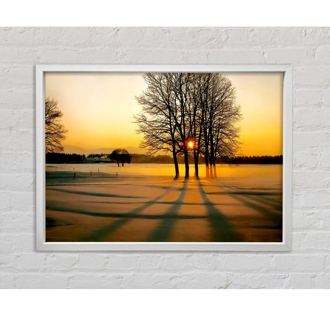 Winterbaum Sonnenaufgang Golden - Einzelner Bilderrahmen Kunstdrucke auf Leinwand