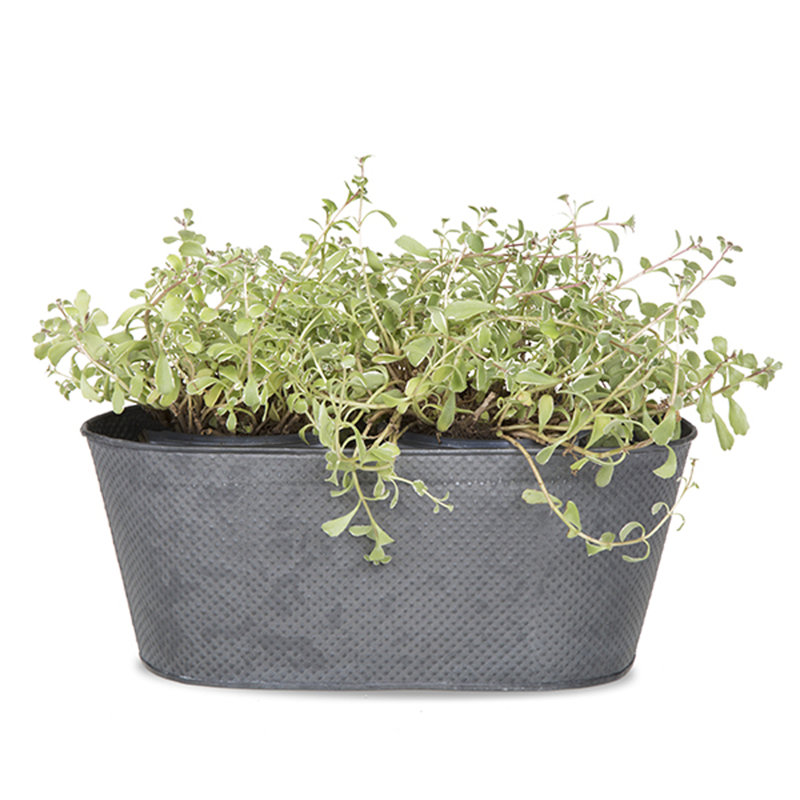 Pot à fleurs en étain Jablonski, Gris