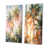 Toile tendue