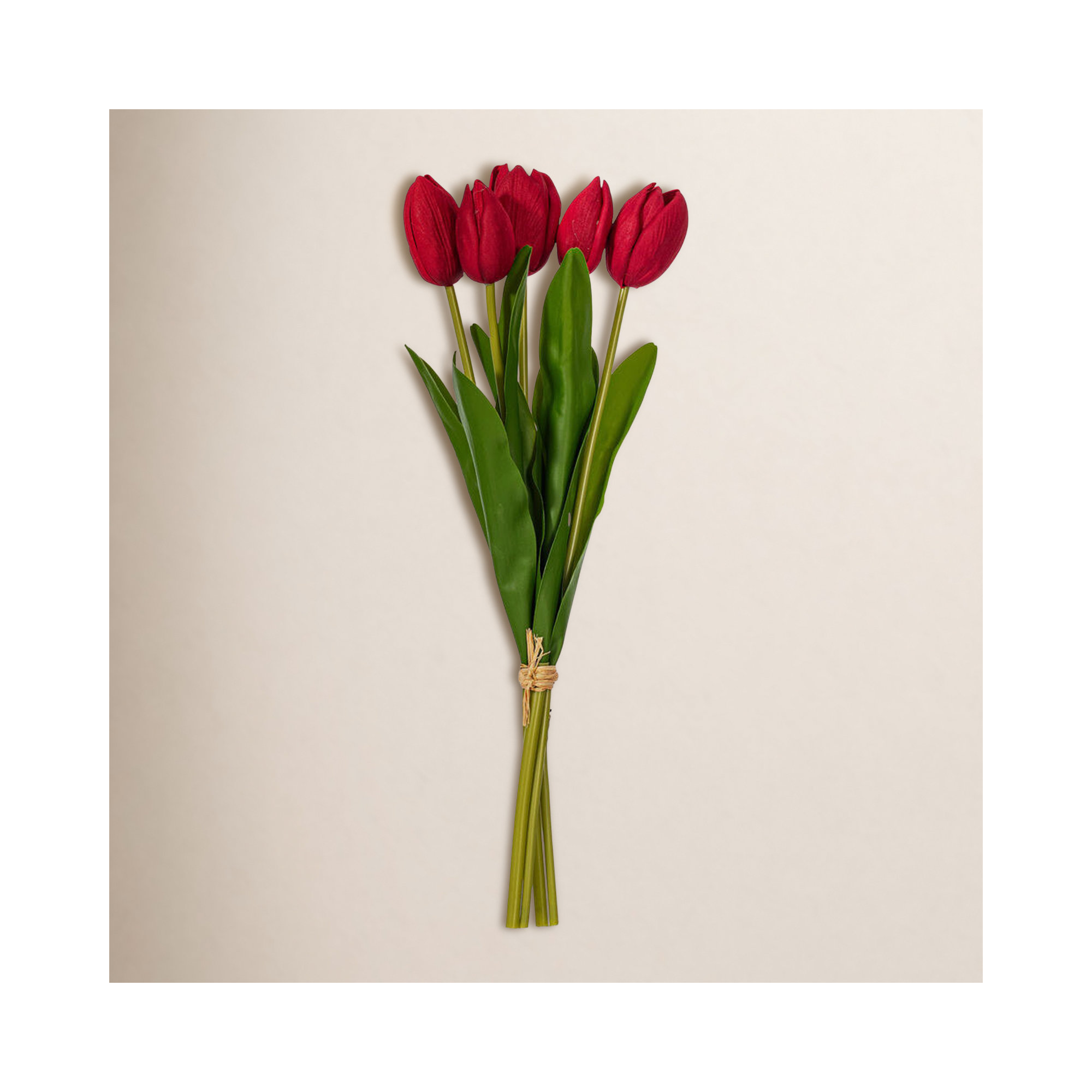 16"H Plum Tulip Bundle of 5., Red