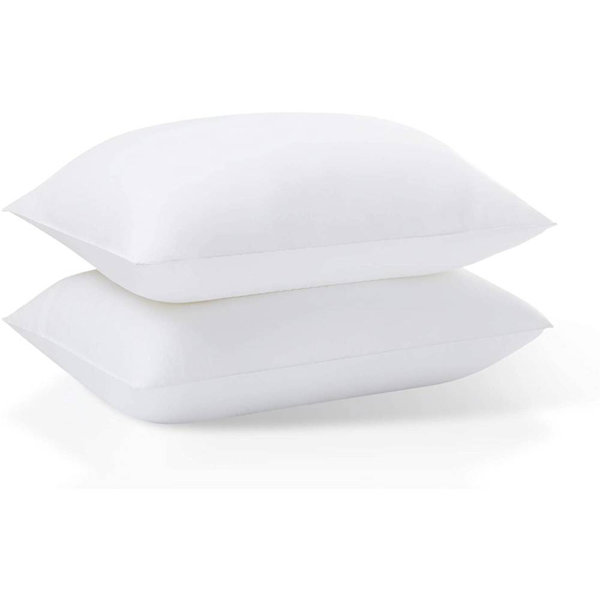 Bronaugh Polyester Plush Support Pillow (Set of 4) Alwyn Home Size: Queen