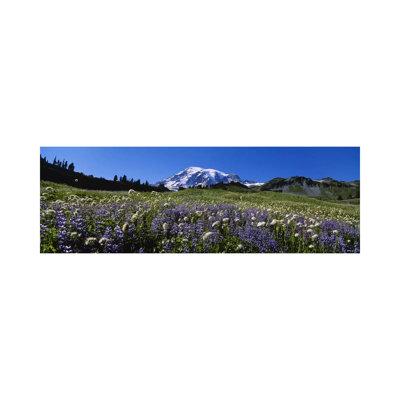 Wildflowers On A Landscape, Mt Rainier National Park, Washington State, USA #4 by Panoramic Images - Wrapped Canvas Panoramic Print