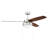 Intrepid 52'' Ceiling Fan with Light Kit-1201217778