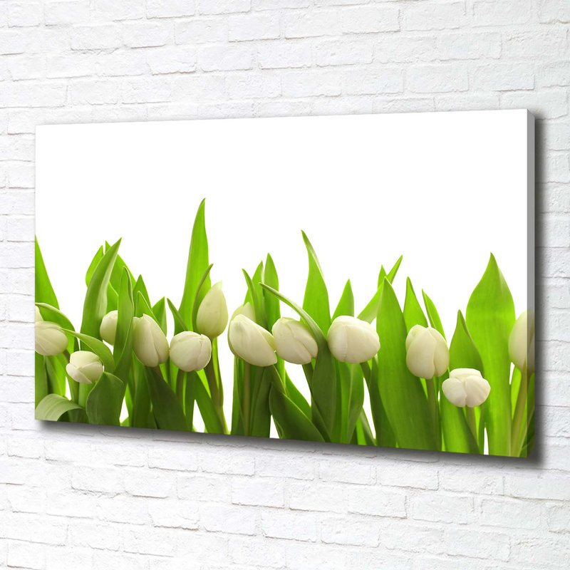 White Tulips - Wrapped Canvas Print