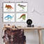  Ensemble de 4 giclées éducatives de dinosaures éducatifs par Brett Blumenthal-1784626536-1784626541