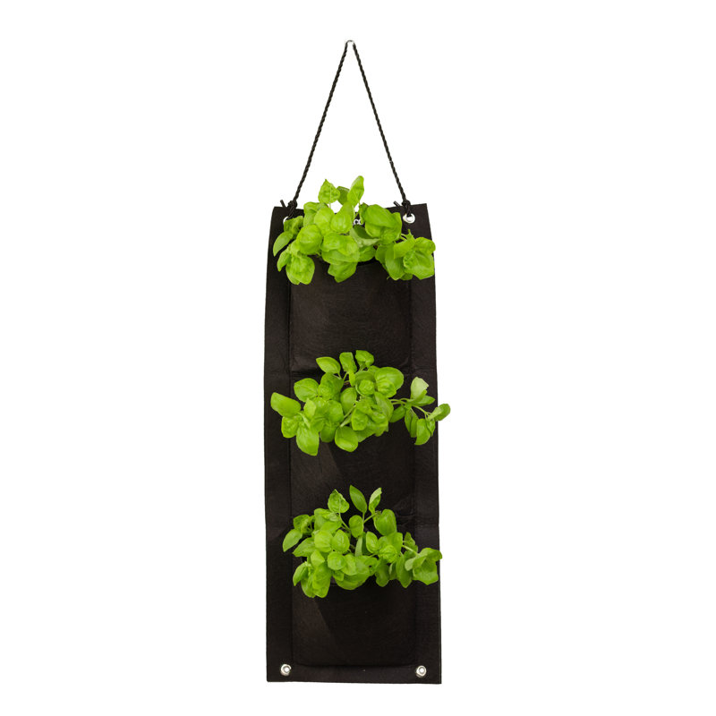 Organic Herb Seed Hanging Planter Bag Kit-Basil