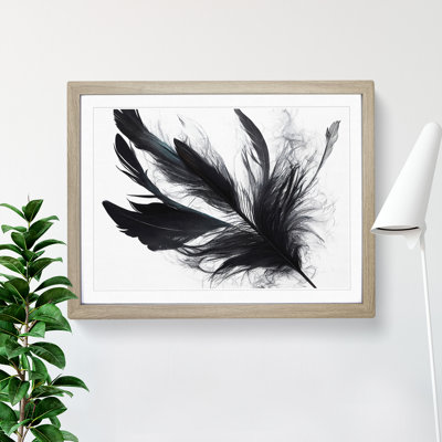 Sumptuous Bird Feathers - Single Picture Frame Print