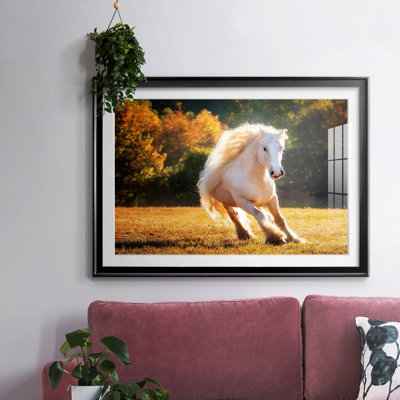 " Horse Motion IV "