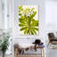 Rhododendron occidental-132992965
