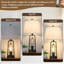 Lampe de table en métal ralph ralentie