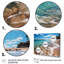 Seaside Rhythms sur impression sur toile-718903818-665264787