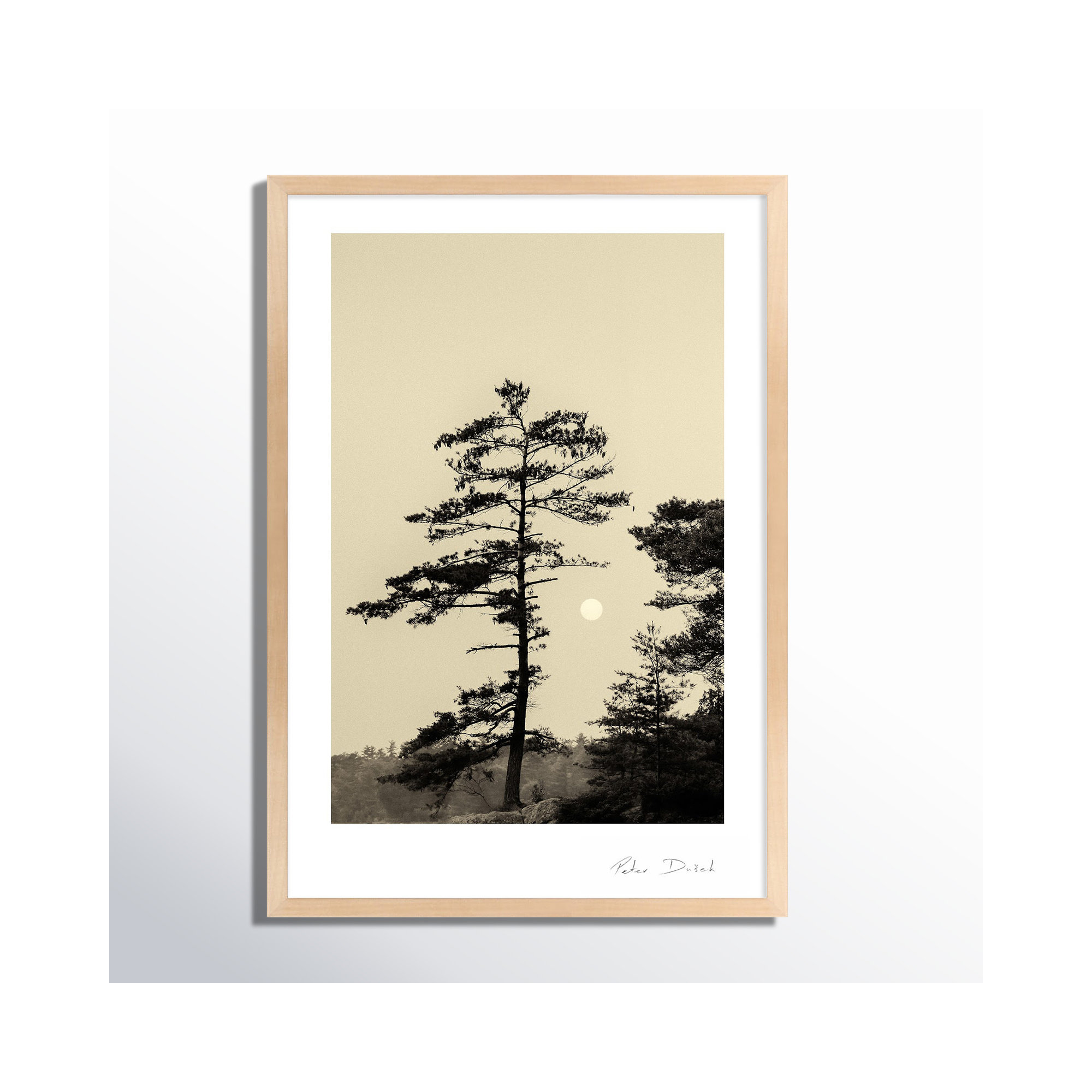 Serenity by Peter Dušek, Brown, 20" H x 14" W x 1.25" D