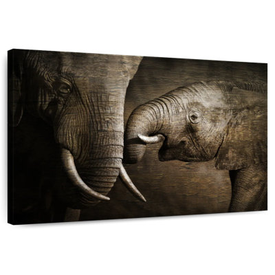 Brampt Affectionate Elephants