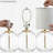 Clouse Table Lamp