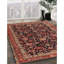 Oriental Indoor Rug-1010029806