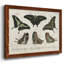 «Crackled Butterflies II», peinture sur toile encadrée-1900715890-1900715897