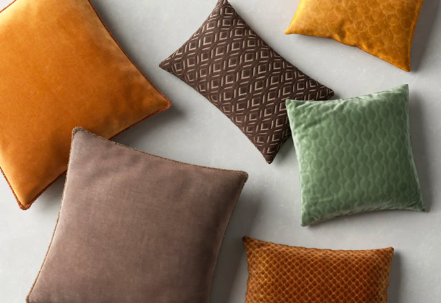 Trending Accent Pillows
