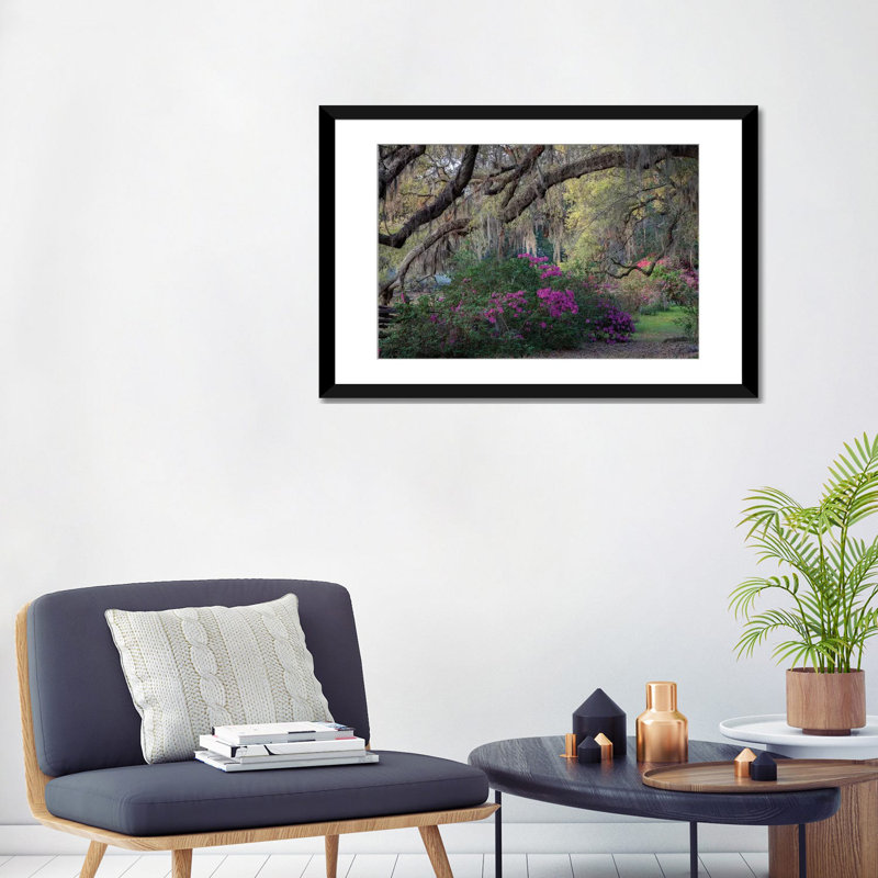 Chêne et azalées par H.J. Herrera - reproduction de photo sur toile tendue, H 24 po x l 32 po x P 1 po, Blanc