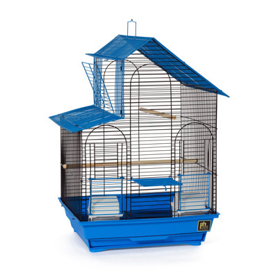 Cage à oiseaux avec perchoir 24 po