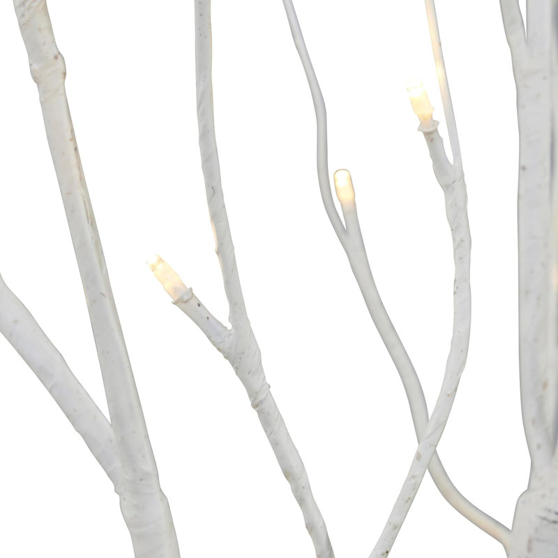 Holiday Lighting