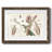 " Amaryllis Varietals II "-1561138141-1561138129